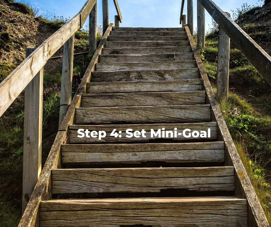 Set a mini-goal for a healthy lifestyle change.
